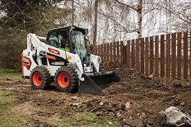 Bobcat